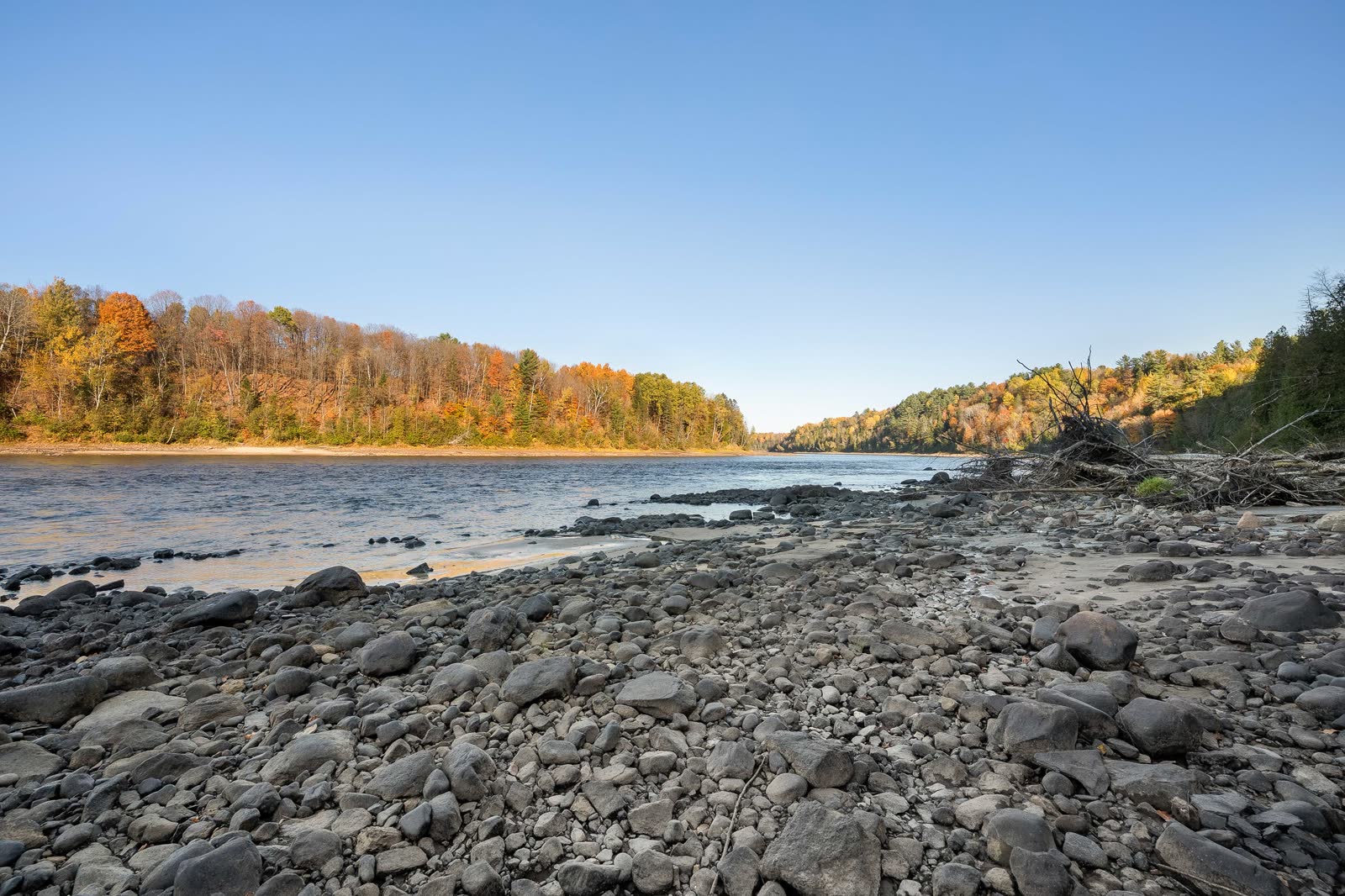 Domaine forestier au 9320 Bd des Forges, image 8