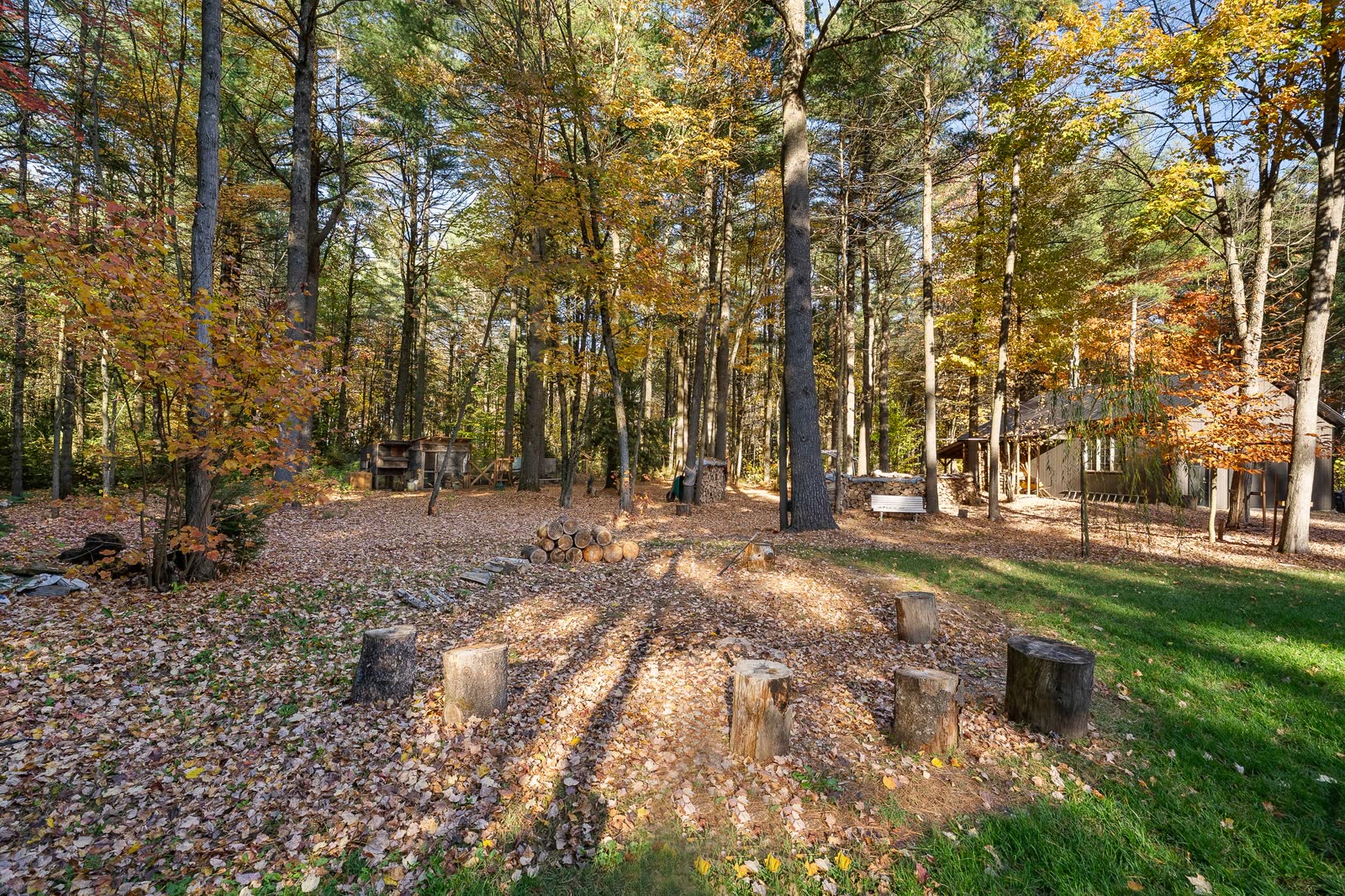 Domaine forestier au 9320 Bd des Forges, image 24
