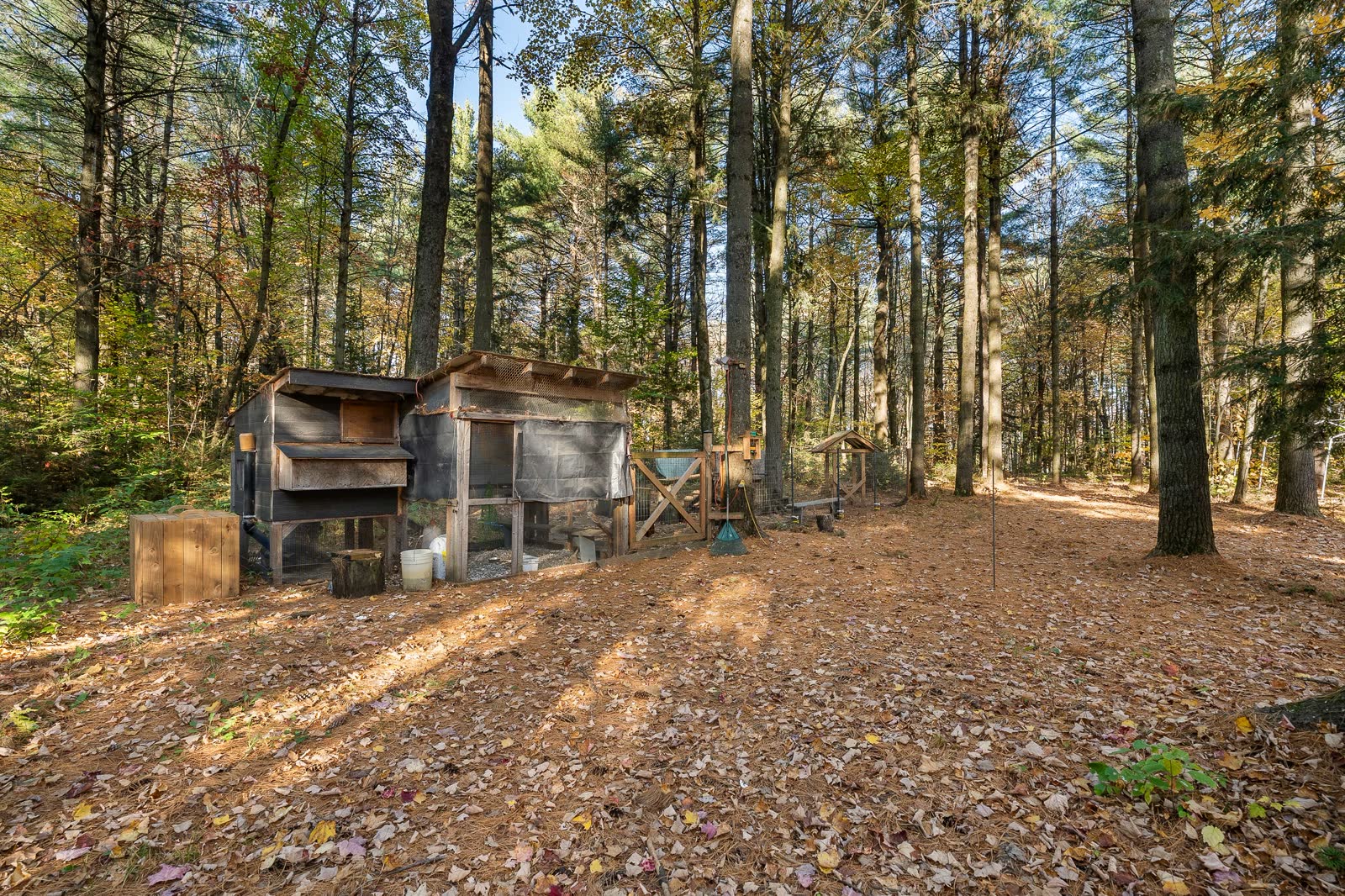 Domaine forestier au 9320 Bd des Forges, image 27